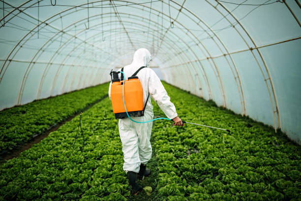 Best Wildlife Control Services  in Mission Nyon, CA
