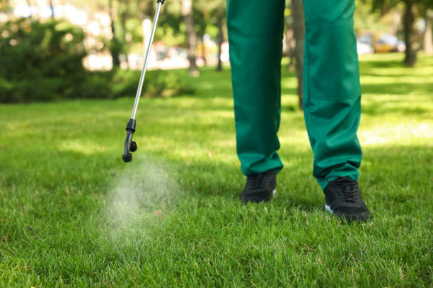 Best Exterminator Services  in Mission Nyon, CA