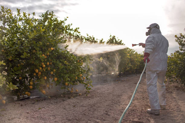 Best Best Pest Control Companies  in Mission Nyon, CA