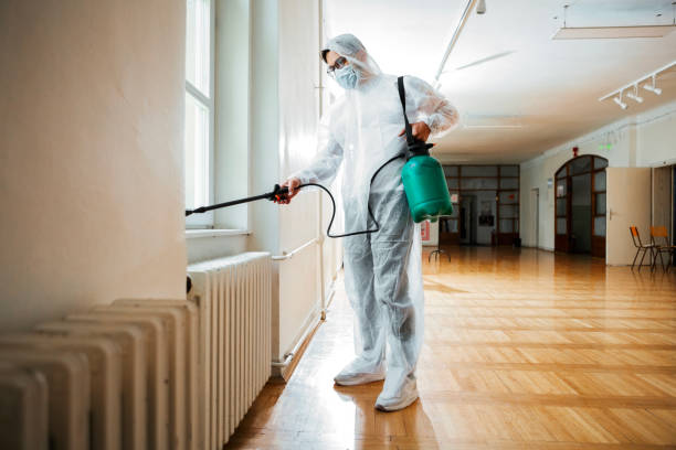 Best Pest Removal Services  in Mission Nyon, CA
