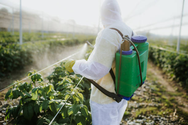 Best Affordable Pest Control Services  in Mission Nyon, CA